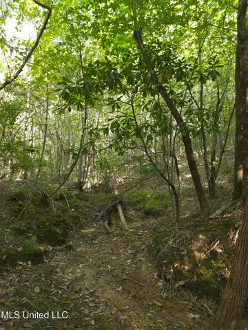 $48,000 | Cub Brown Road, Monticello, MS 39654