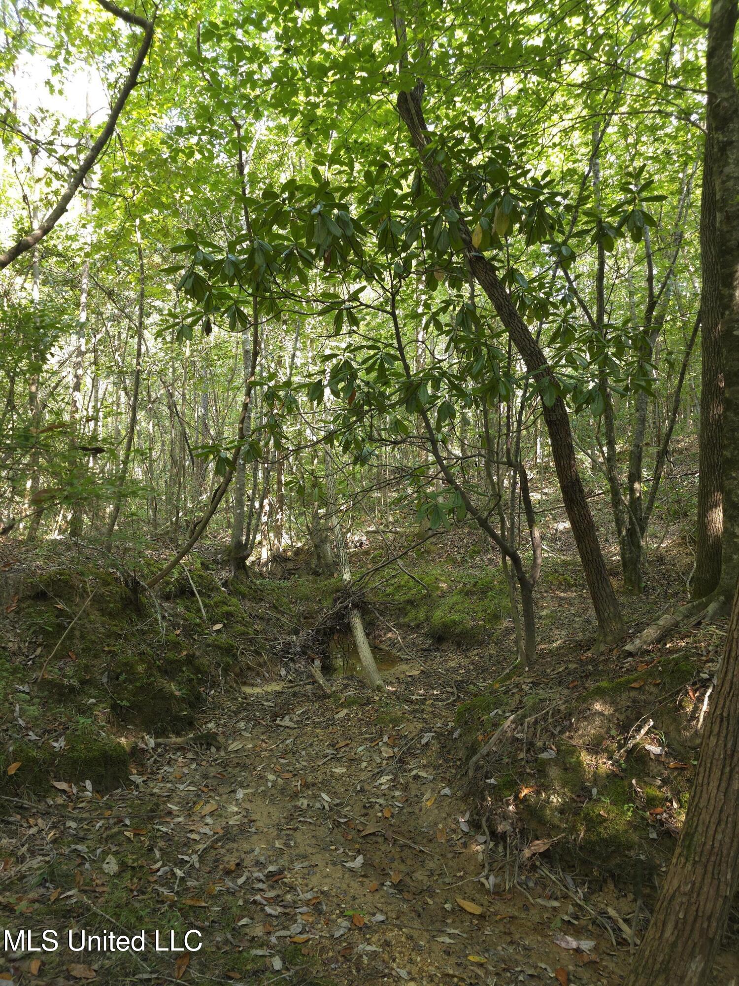 Cub Brown Road Monticello, MS 39654 - Photo 34 of 45 16725