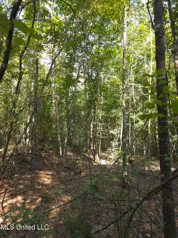 $48,000 | Cub Brown Road, Monticello, MS 39654