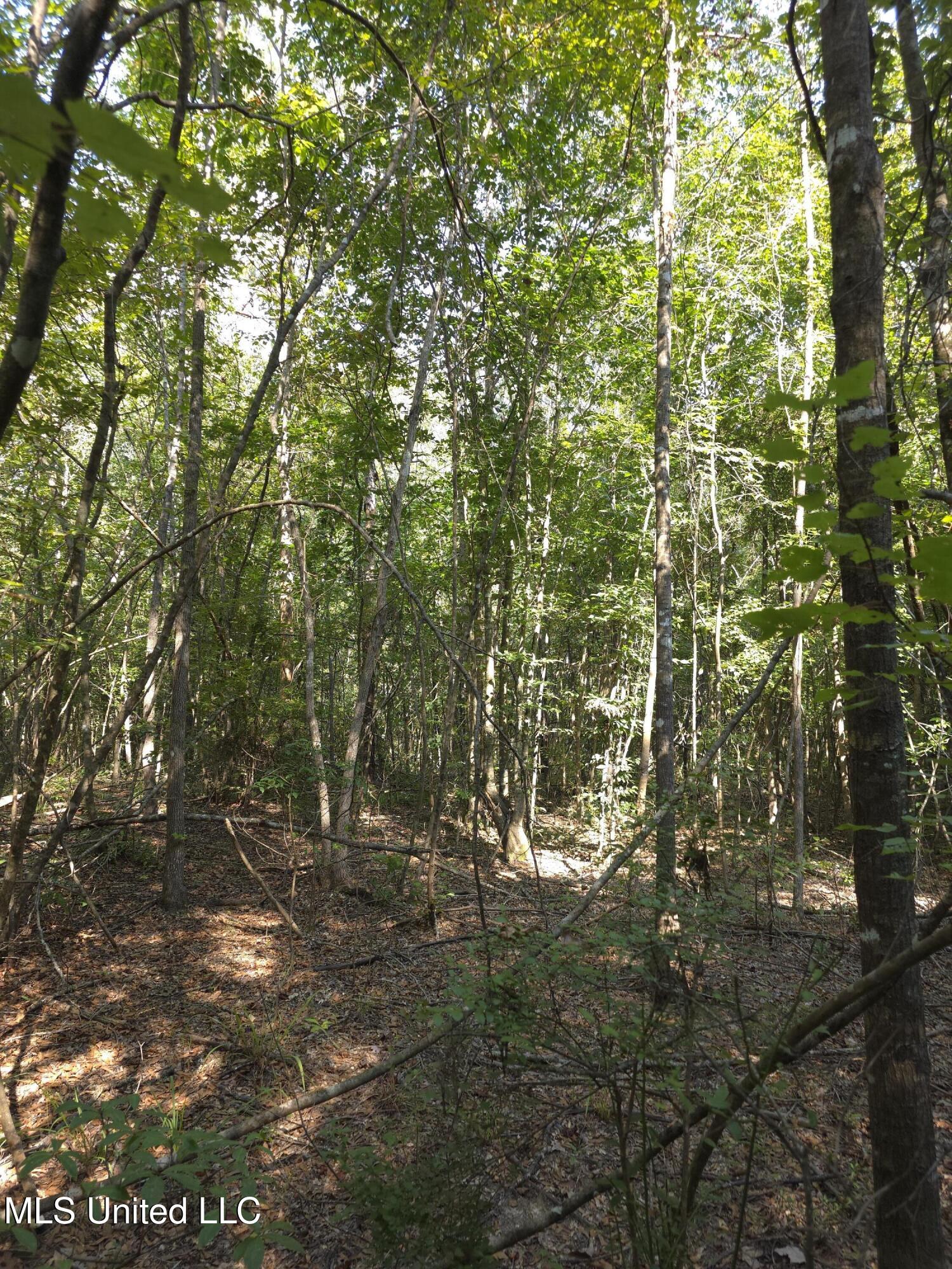 Cub Brown Road Monticello, MS 39654 - Photo 35 of 45 16722