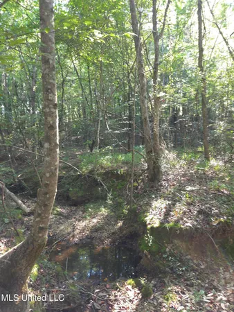 $38,000 | Cub Brown Road, Monticello, MS 39654
