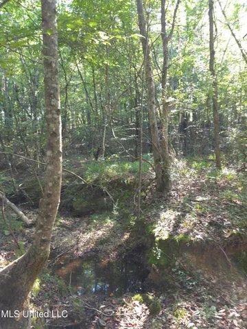 $48,000 | Cub Brown Road, Monticello, MS 39654