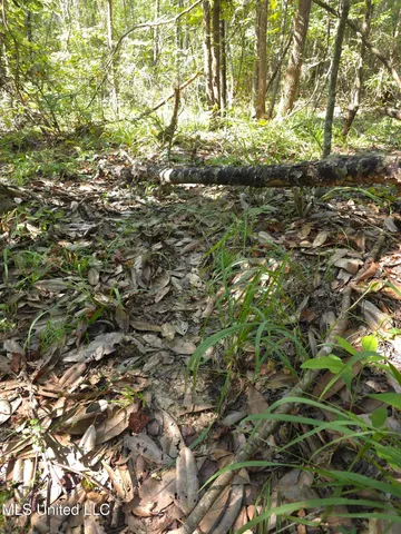 $48,000 | Cub Brown Road, Monticello, MS 39654