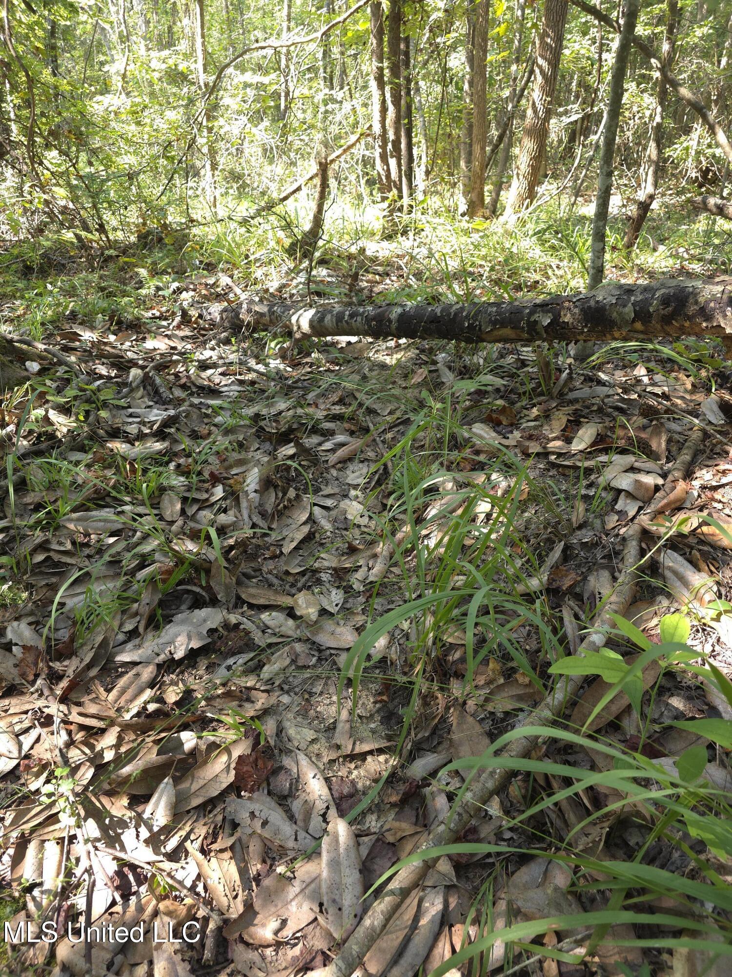 Cub Brown Road Monticello, MS 39654 - Photo 37 of 45 16714