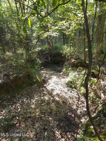 $38,000 | Cub Brown Road, Monticello, MS 39654