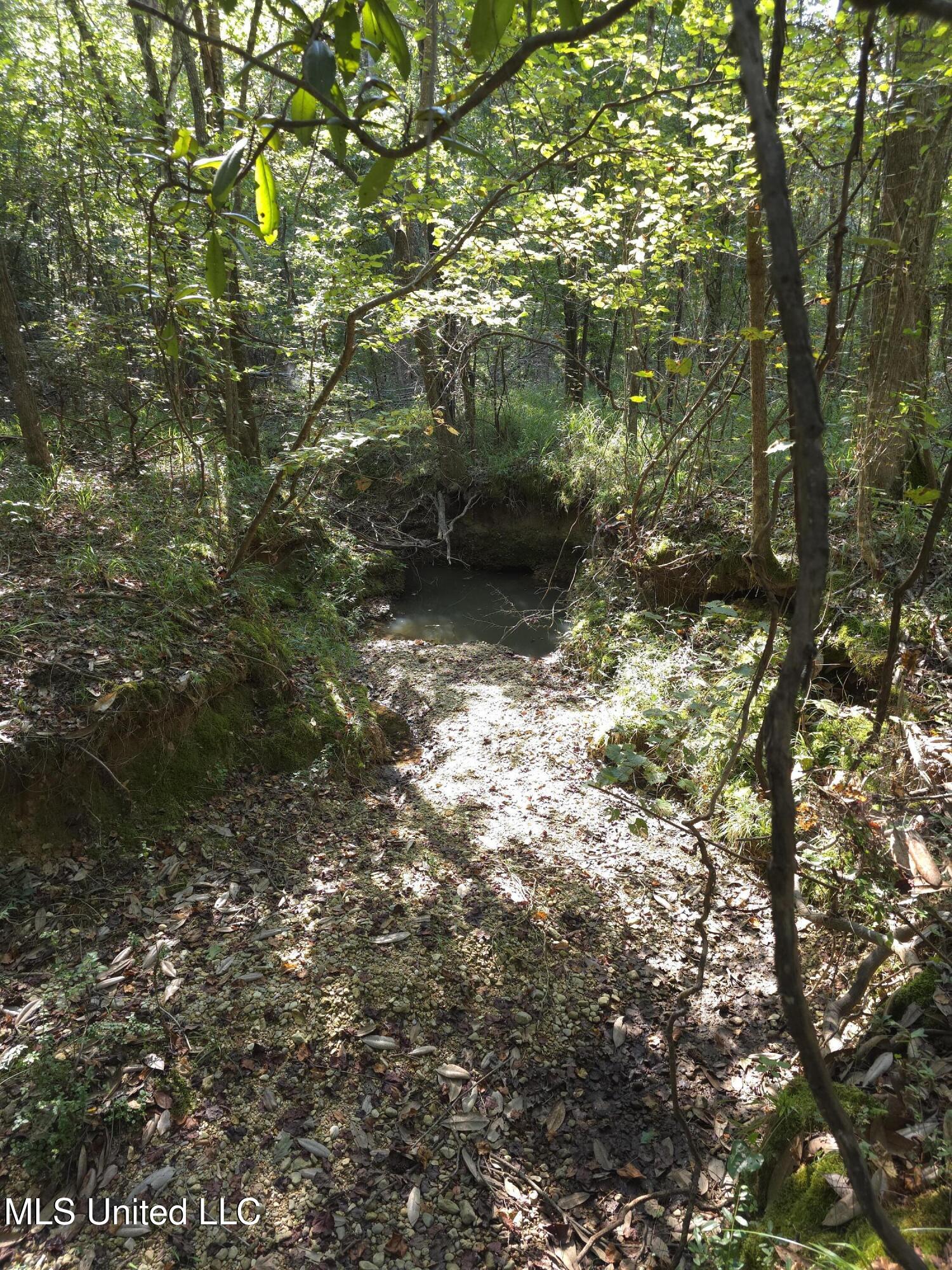 Cub Brown Road Monticello, MS 39654 - Photo 38 of 45 16716