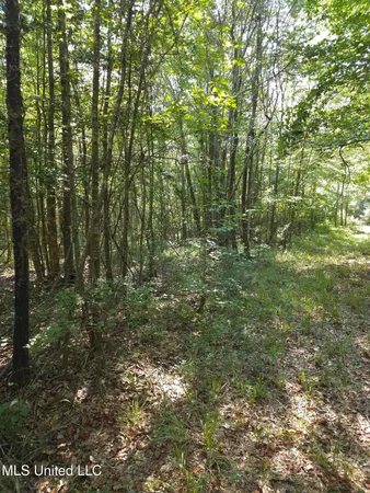 $38,000 | Cub Brown Road, Monticello, MS 39654