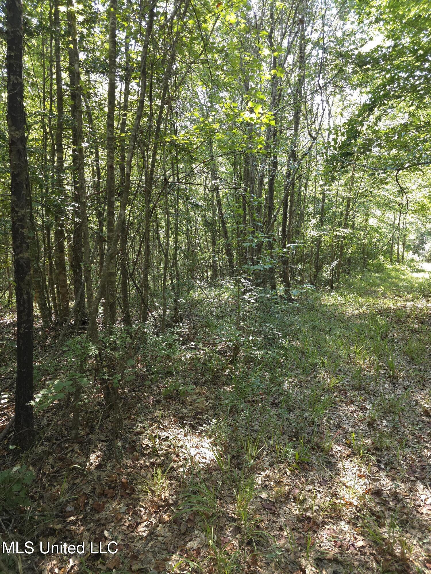 Cub Brown Road Monticello, MS 39654 - Photo 39 of 45 16710