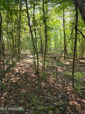 $38,000 | Cub Brown Road, Monticello, MS 39654