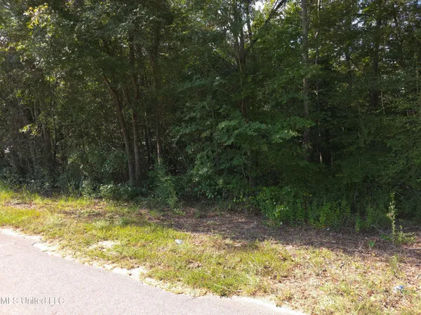 $38,000 | Cub Brown Road, Monticello, MS 39654