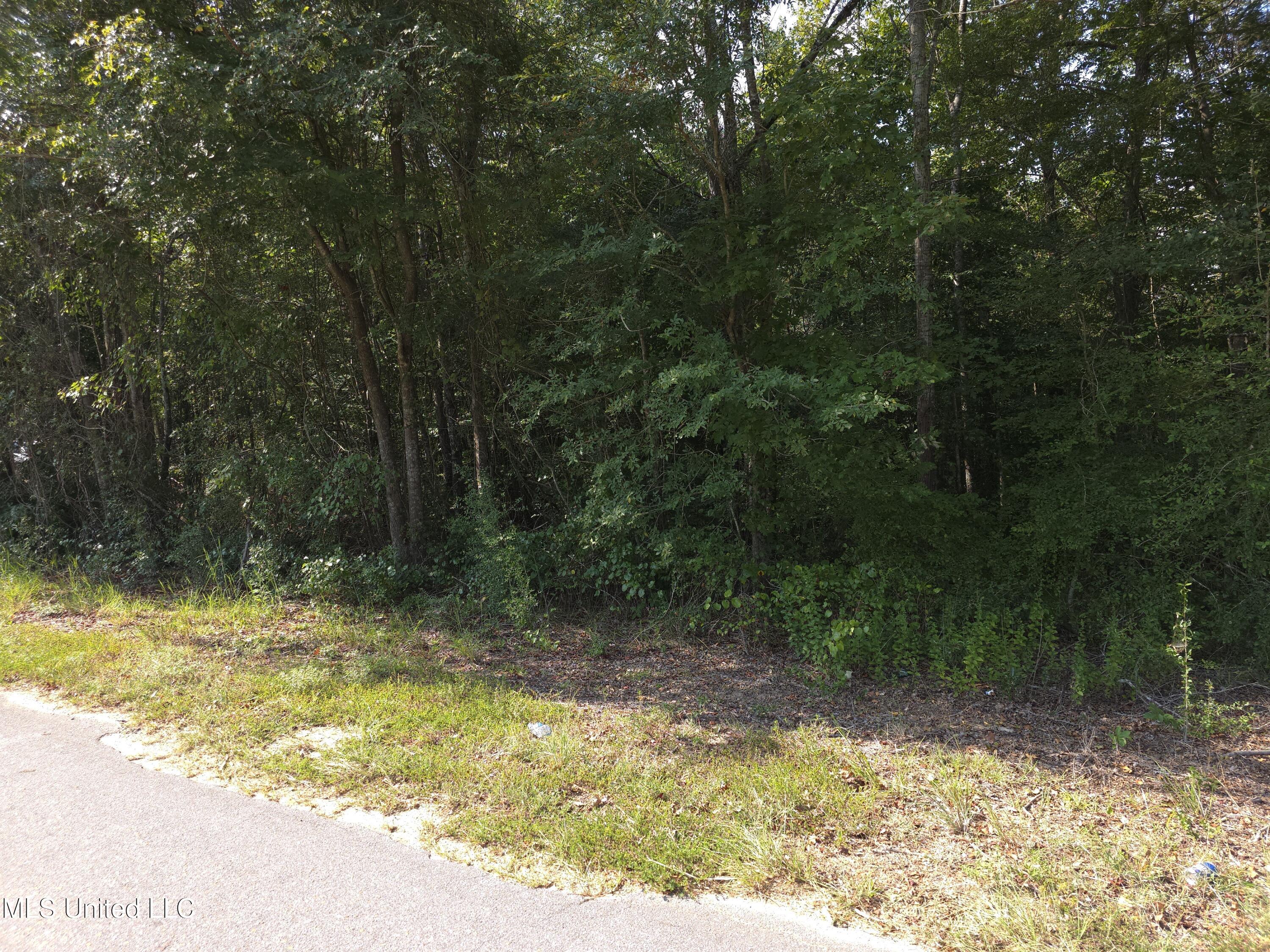 Cub Brown Road Monticello, MS 39654 - Photo 4 of 45 16766