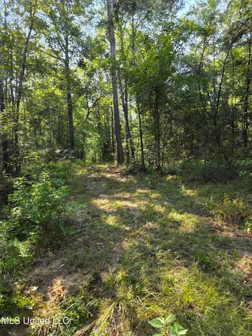 $48,000 | Cub Brown Road, Monticello, MS 39654