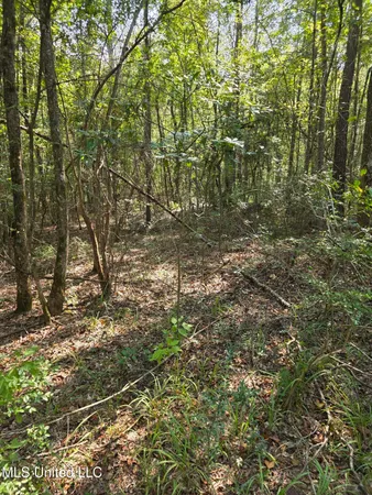 $38,000 | Cub Brown Road, Monticello, MS 39654