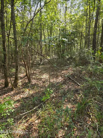 $48,000 | Cub Brown Road, Monticello, MS 39654