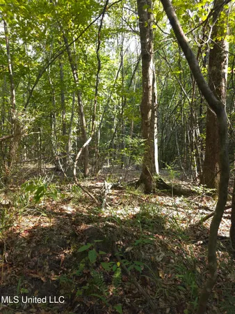 $38,000 | Cub Brown Road, Monticello, MS 39654