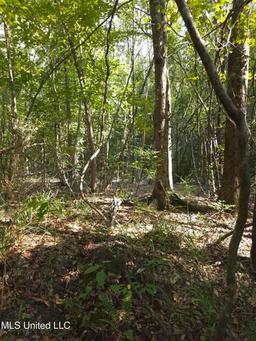 $48,000 | Cub Brown Road, Monticello, MS 39654