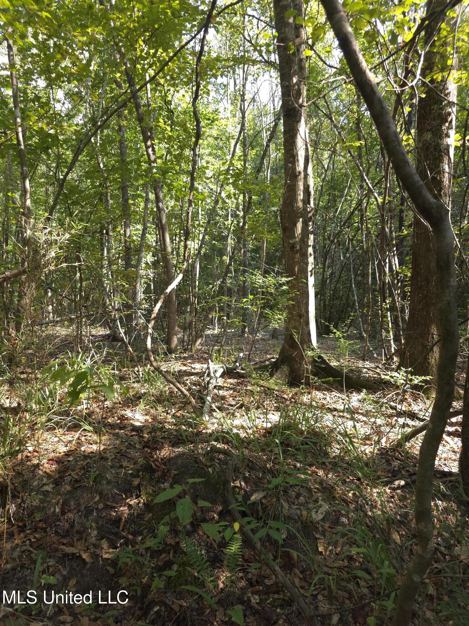 Cub Brown Road Monticello, MS 39654 - Photo 43 of 45 16712