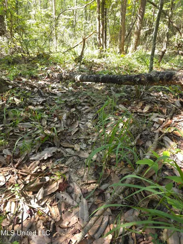 $48,000 | Cub Brown Road, Monticello, MS 39654