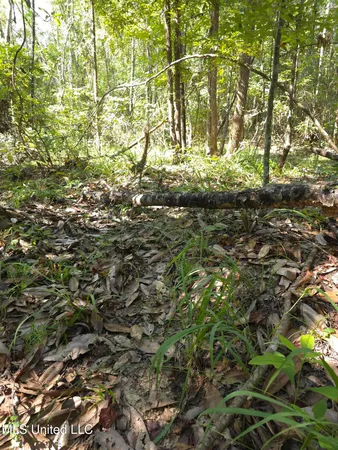 $38,000 | Cub Brown Road, Monticello, MS 39654