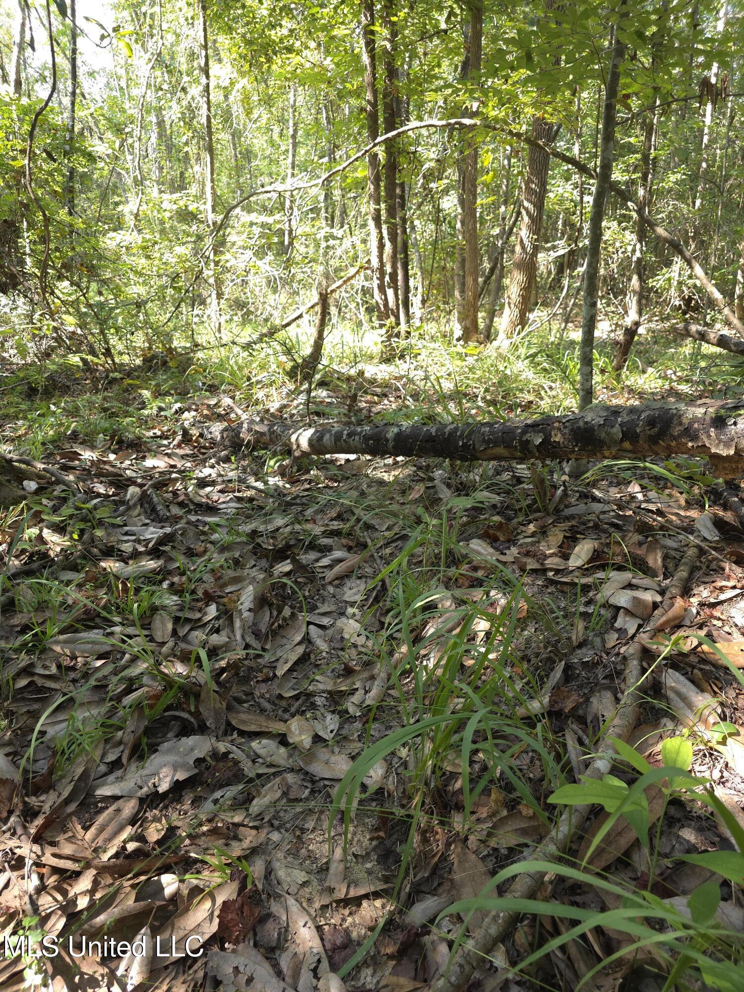 Cub Brown Road Monticello, MS 39654 - Photo 45 of 45 16715