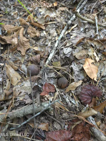 $48,000 | Cub Brown Road, Monticello, MS 39654