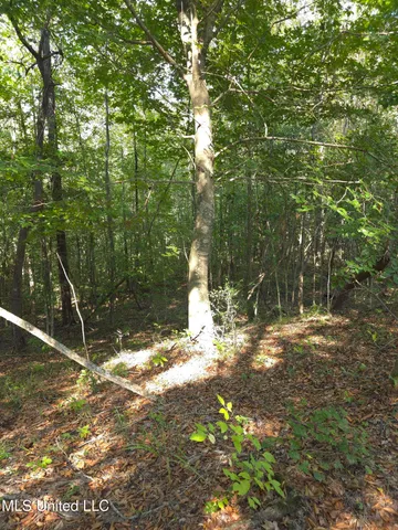 $48,000 | Cub Brown Road, Monticello, MS 39654