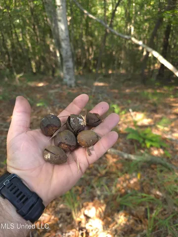 $48,000 | Cub Brown Road, Monticello, MS 39654