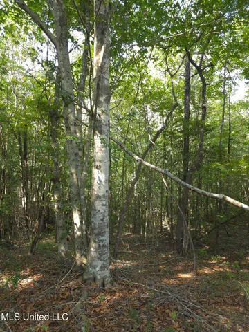$48,000 | Cub Brown Road, Monticello, MS 39654