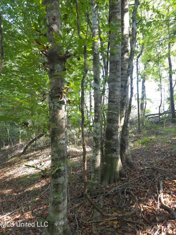 $48,000 | Cub Brown Road, Monticello, MS 39654