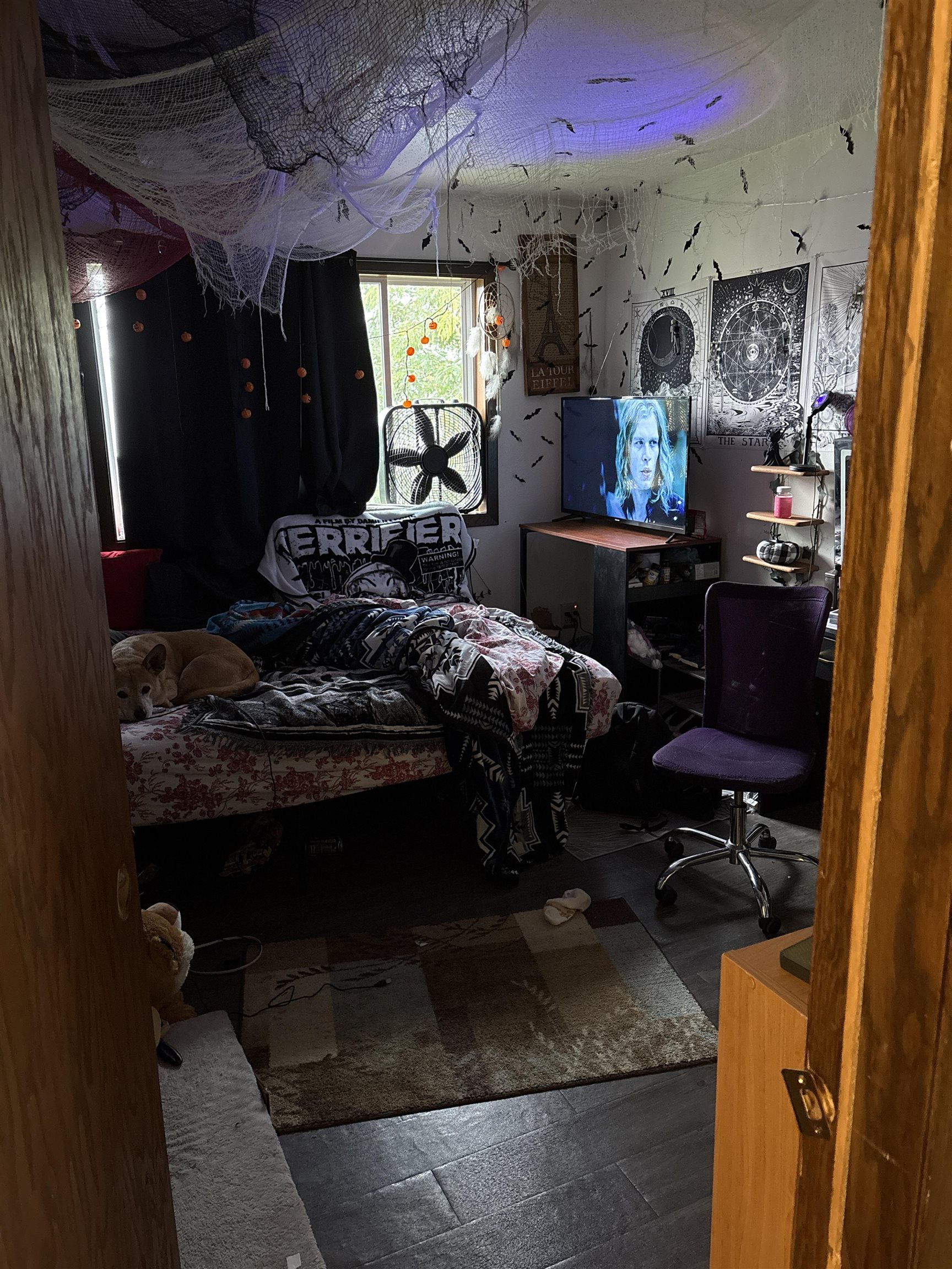 N5625 Riverside Drive Shawano, WI 54166 - Photo 14 of 15