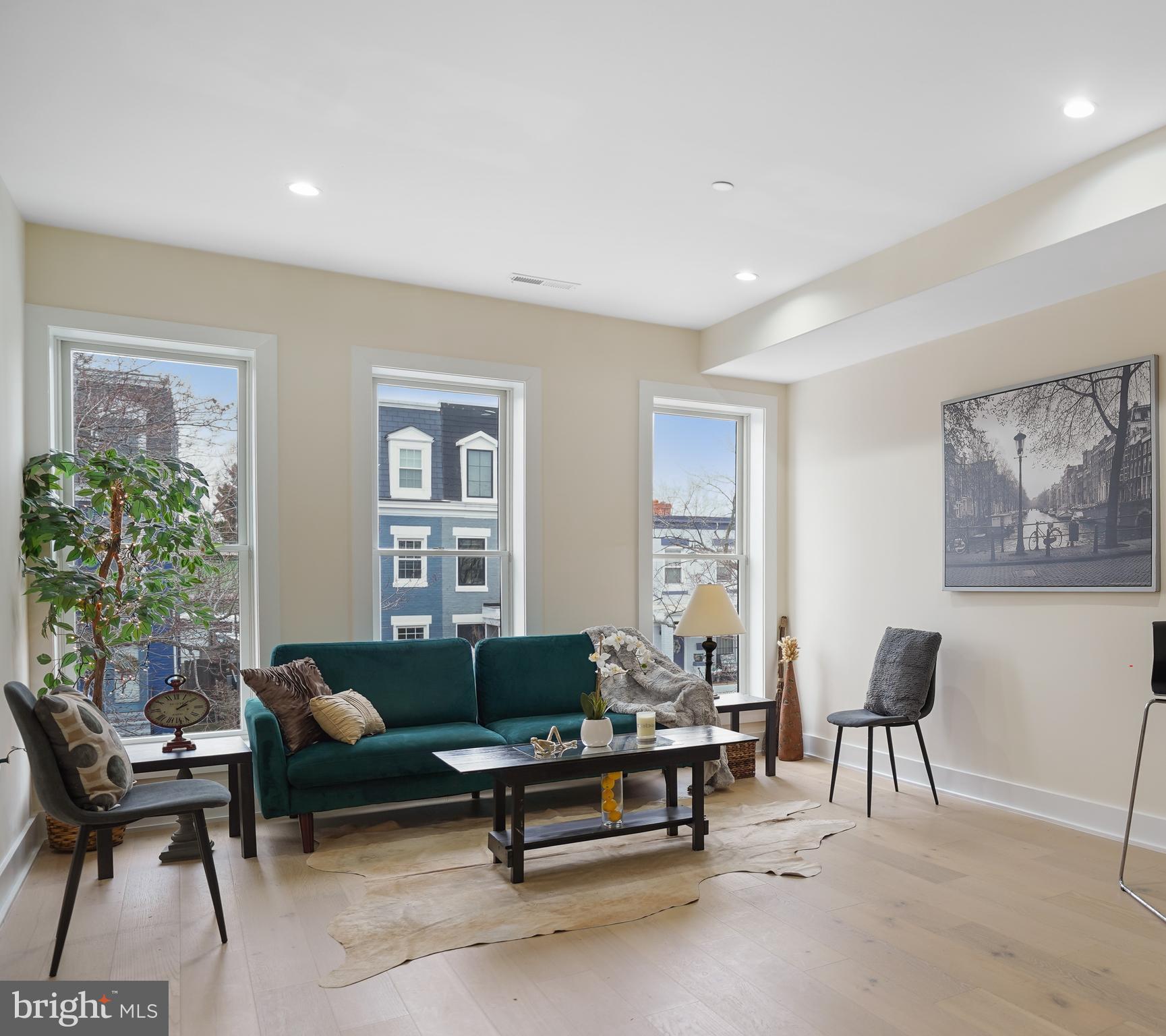 329 16th Street Southeast Washington, DC 20003 - Photo 8 of 39 a living room with furniture and a potted plant