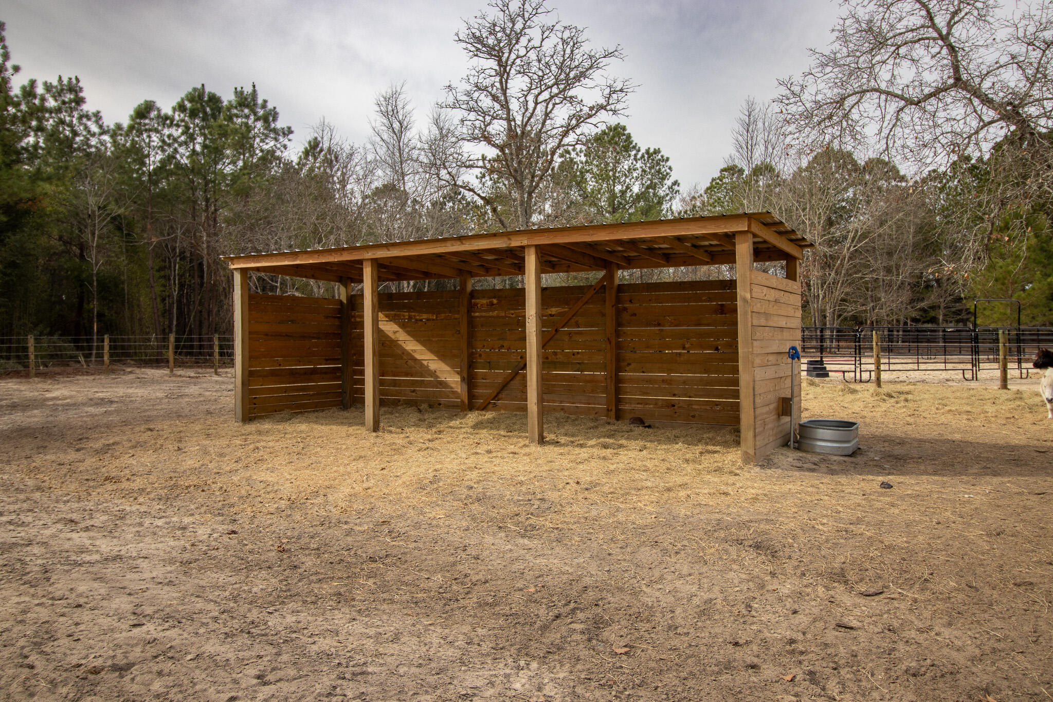 142 Hopewell Road North, SC 29112 - Photo 35 of 112