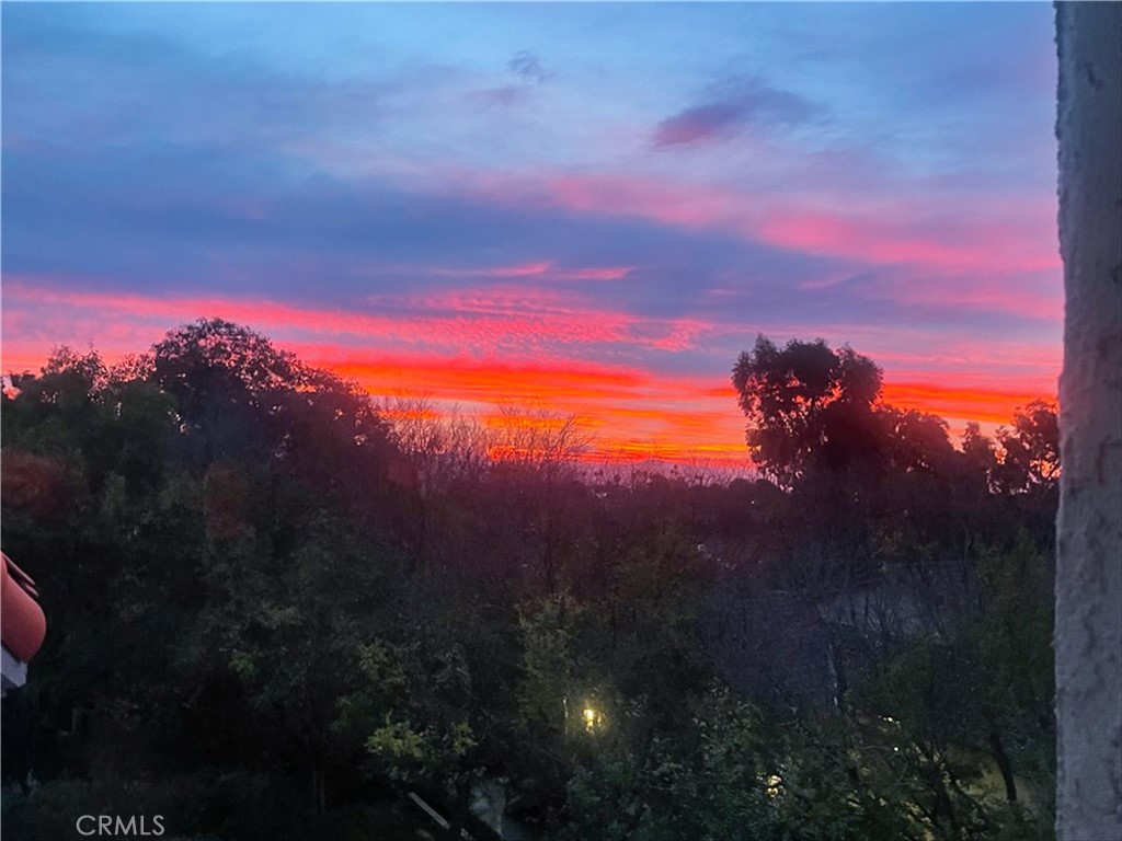 14 Toulon Laguna Niguel, CA 92677 - Photo 46 of 46