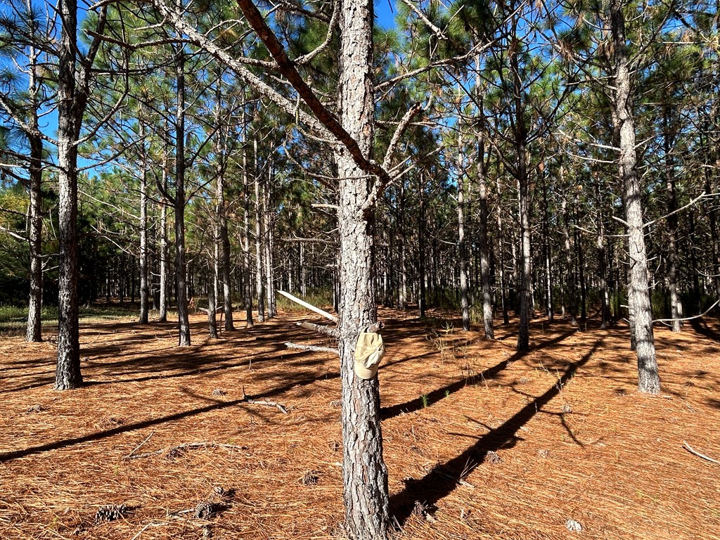 140/ Cty Road Headland, AL 36345 - Photo 25 of 33