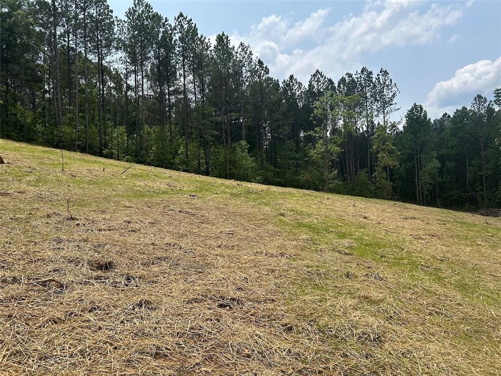 250 Riversong Road Carrollton, GA 30117 - Photo 14 of 67