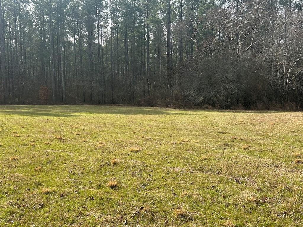 250 Riversong Road Carrollton, GA 30117 - Photo 15 of 67
