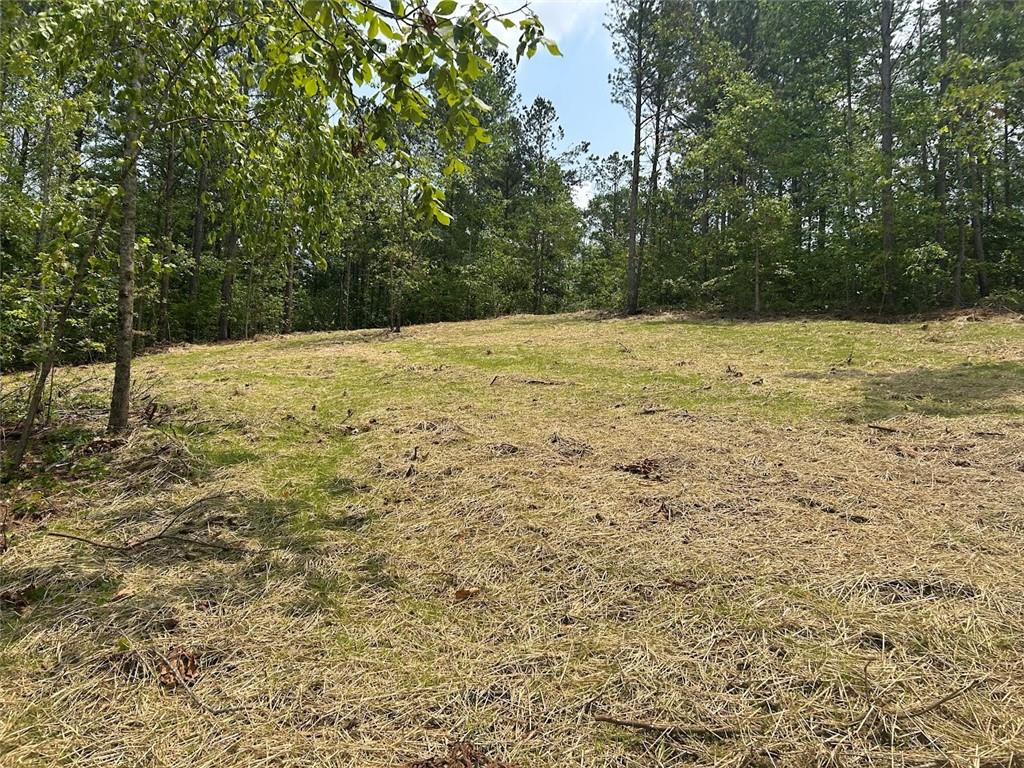 250 Riversong Road Carrollton, GA 30117 - Photo 17 of 67