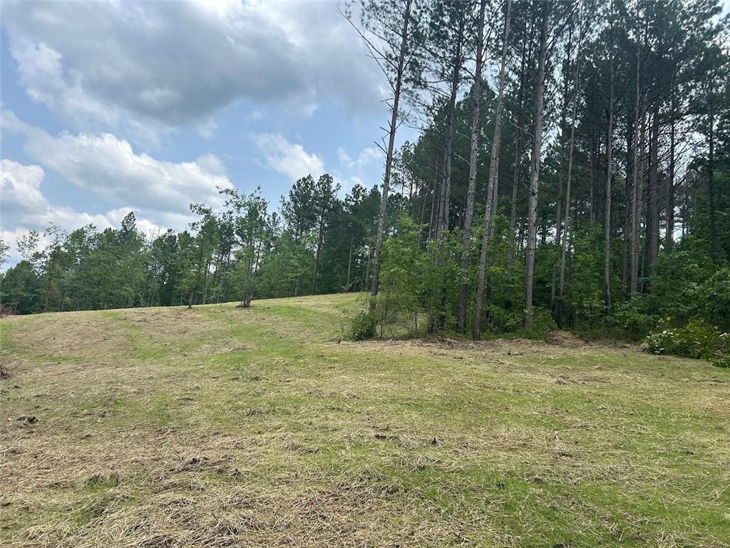 250 Riversong Road Carrollton, GA 30117 - Photo 19 of 67