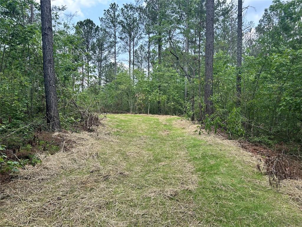 250 Riversong Road Carrollton, GA 30117 - Photo 20 of 67