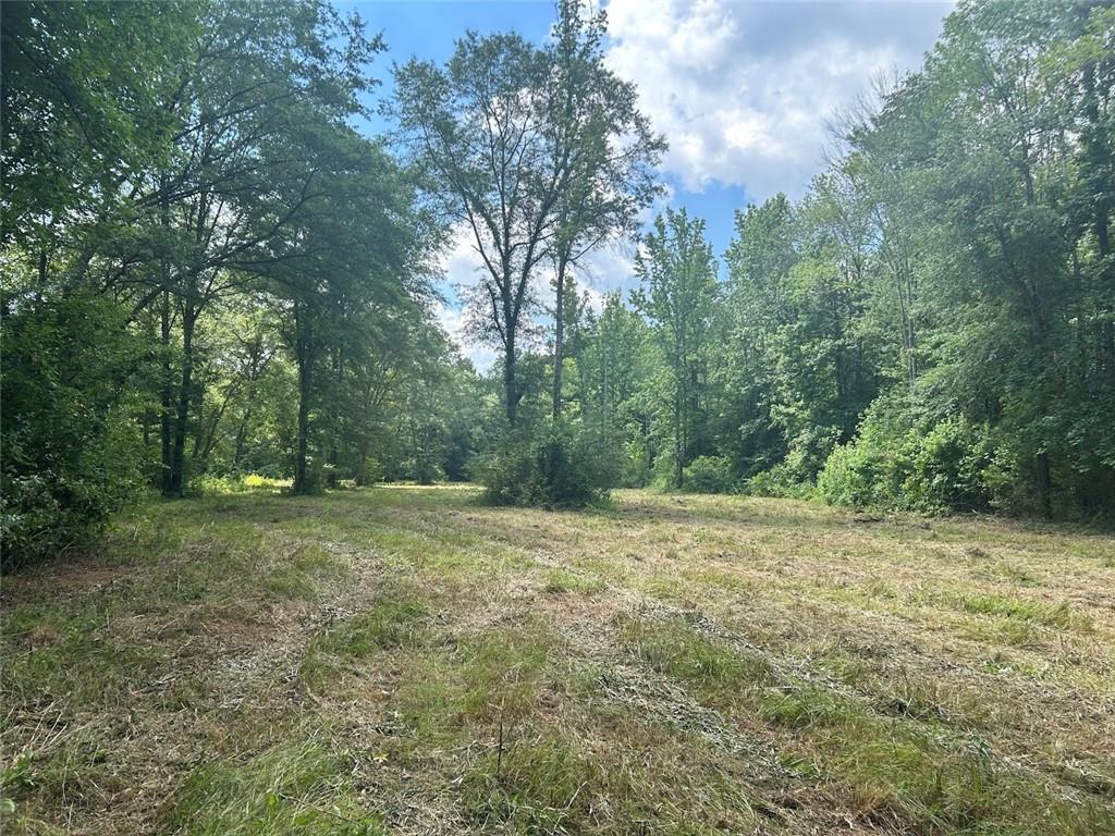 250 Riversong Road Carrollton, GA 30117 - Photo 21 of 67