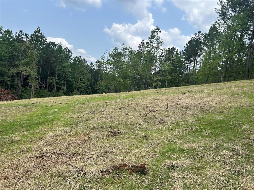 250 Riversong Road Carrollton, GA 30117 - Photo 22 of 67