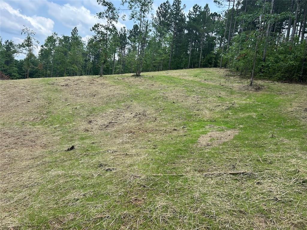 250 Riversong Road Carrollton, GA 30117 - Photo 25 of 67