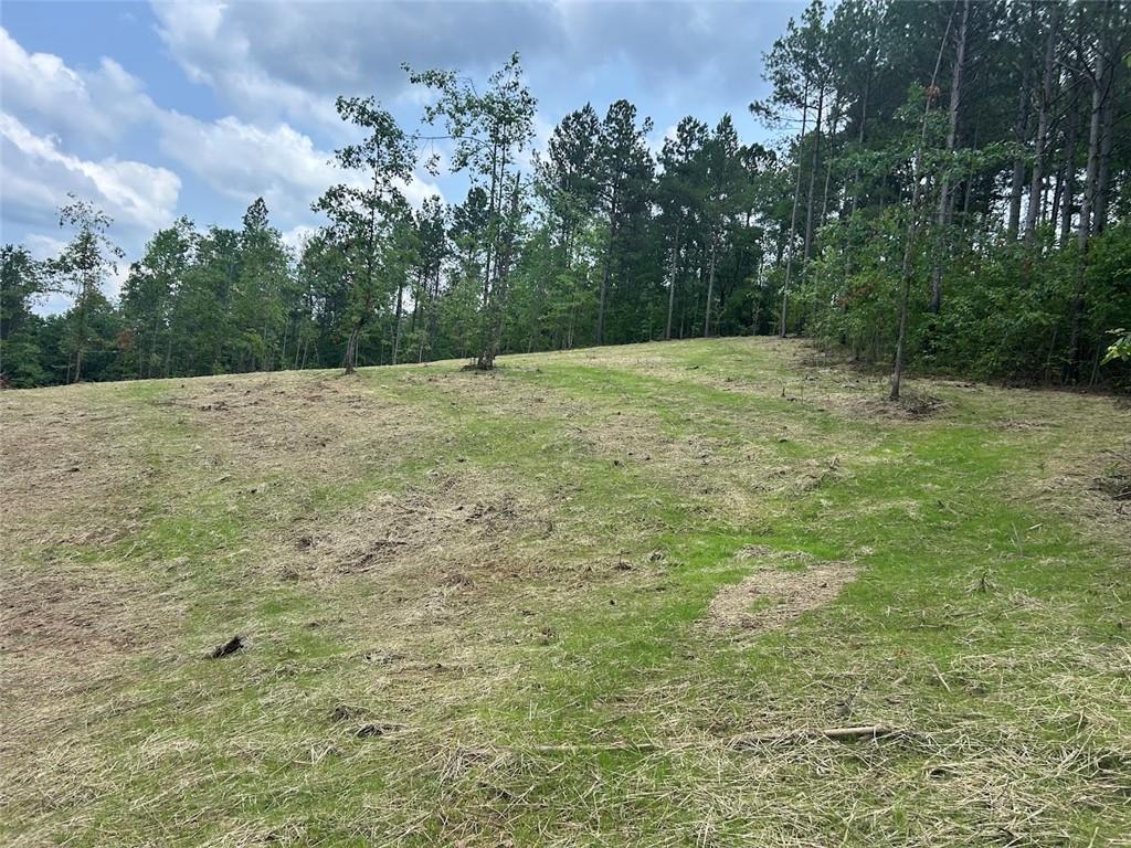 250 Riversong Road Carrollton, GA 30117 - Photo 26 of 67
