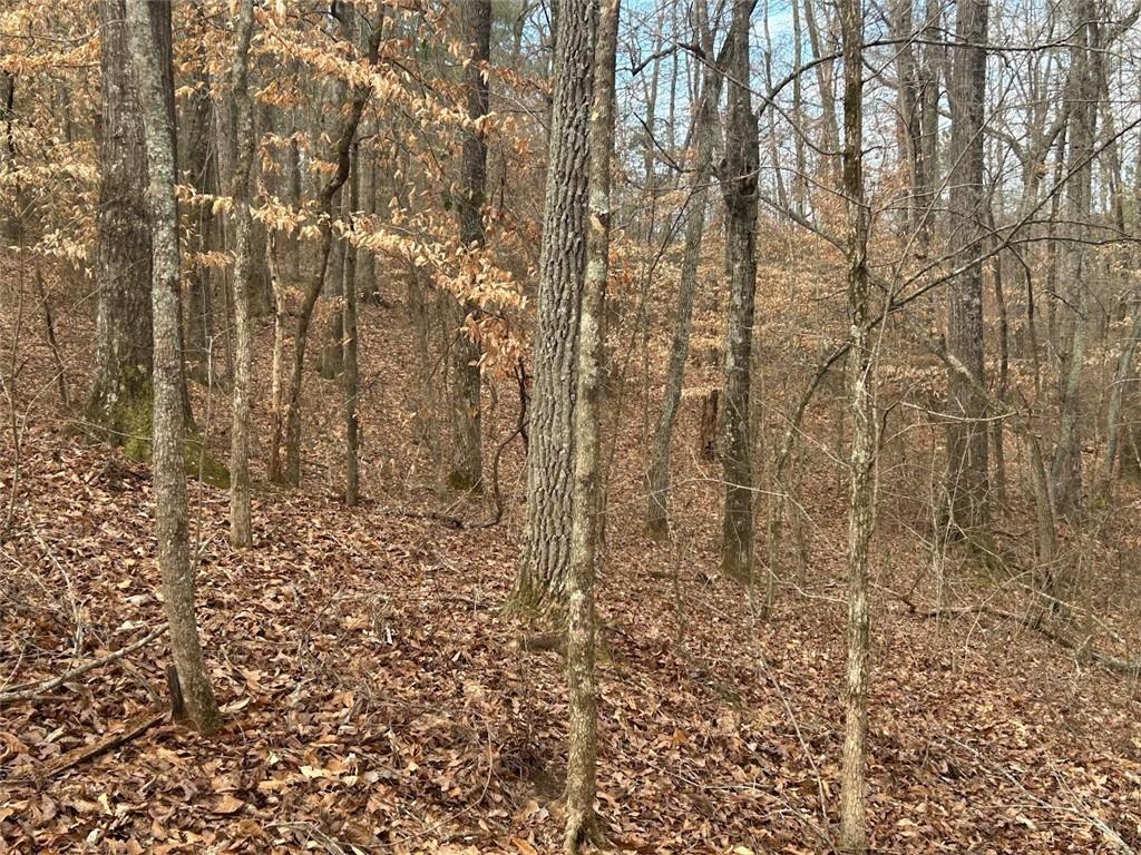 250 Riversong Road Carrollton, GA 30117 - Photo 31 of 67