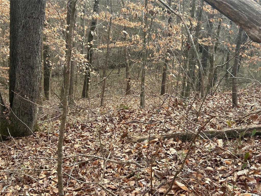 250 Riversong Road Carrollton, GA 30117 - Photo 37 of 67