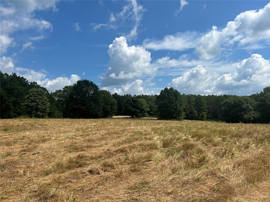 250 Riversong Road Carrollton, GA 30117 - Photo 38 of 67