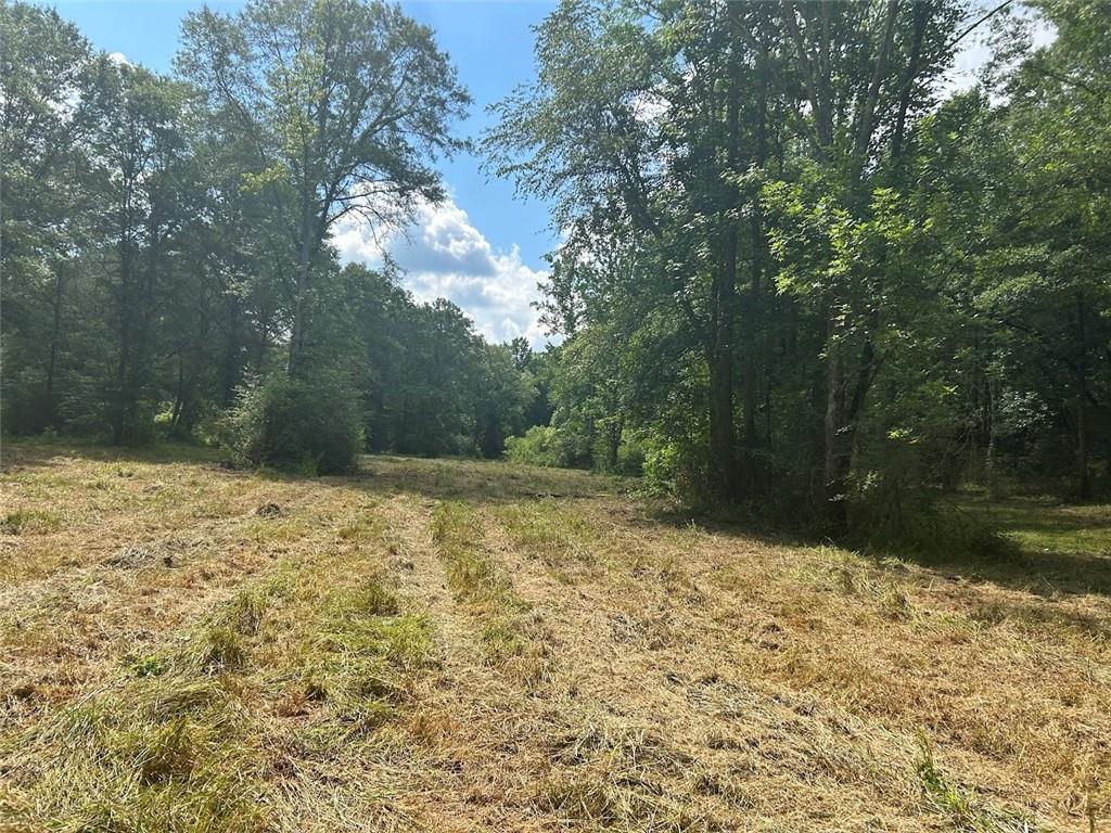 250 Riversong Road Carrollton, GA 30117 - Photo 41 of 67