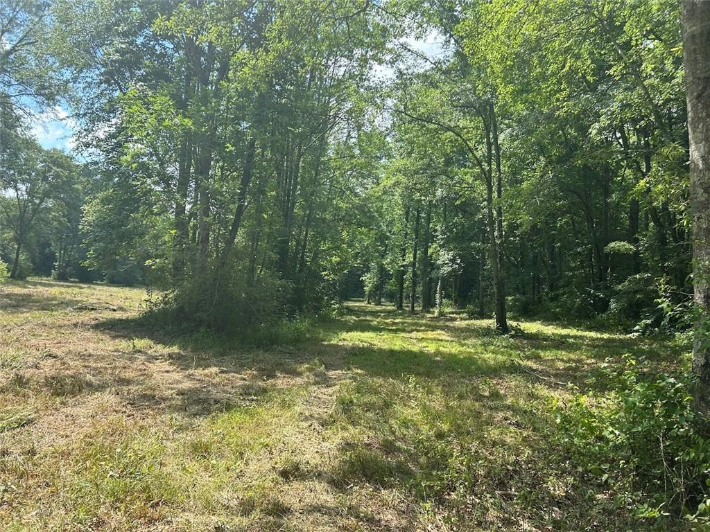 250 Riversong Road Carrollton, GA 30117 - Photo 42 of 67