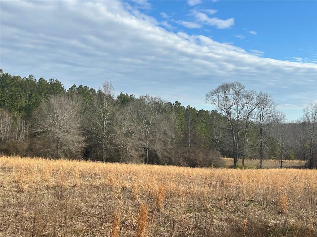 250 Riversong Road Carrollton, GA 30117 - Photo 43 of 67