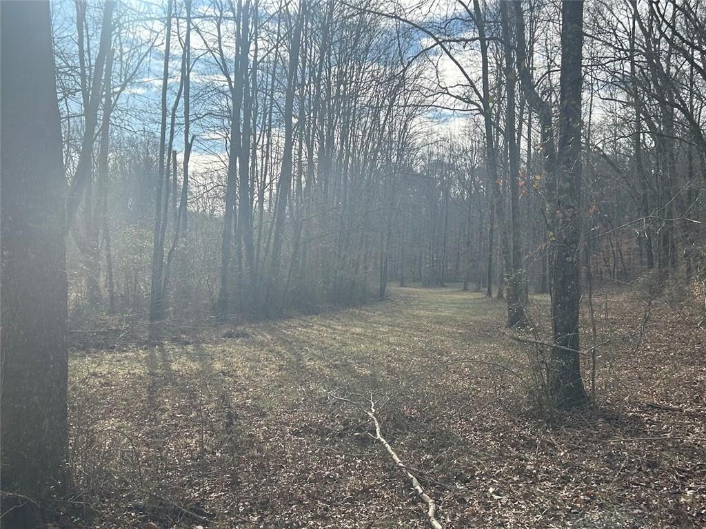 250 Riversong Road Carrollton, GA 30117 - Photo 50 of 67